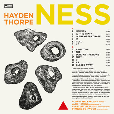 Hayden Thorpe -  Ness